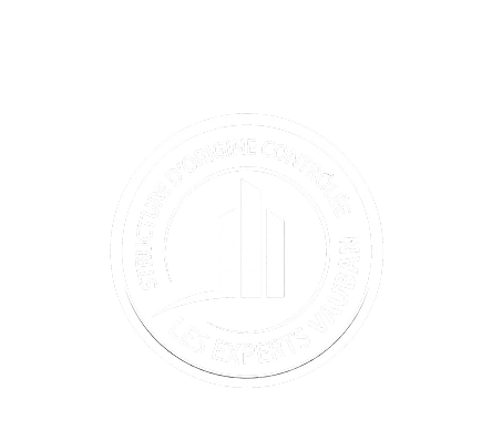 logo expert V blanc